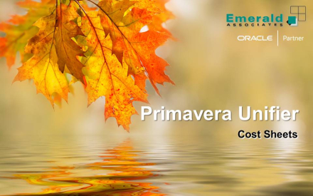 Creating Cost Sheets in Primavera Unifier - Mini Webinar